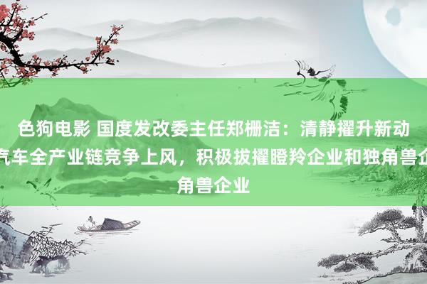 色狗电影 国度发改委主任郑栅洁：清静擢升新动力汽车全产业链竞争上风，积极拔擢瞪羚企业和独角兽企业