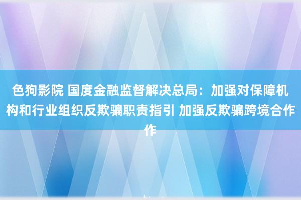 色狗影院 国度金融监督解决总局：加强对保障机构和行业组织反欺骗职责指引 加强反欺骗跨境合作