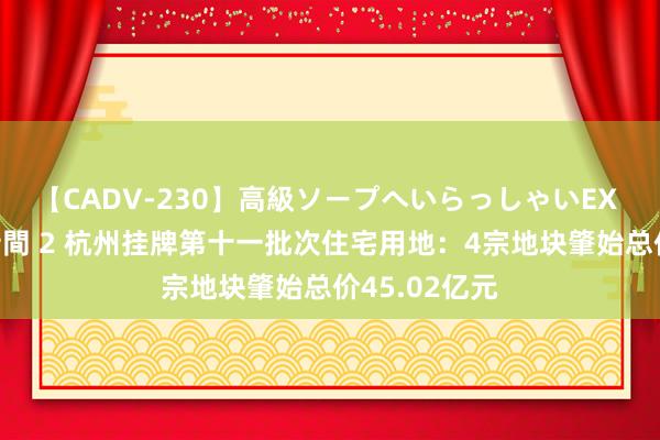 【CADV-230】高級ソープへいらっしゃいEX 巨乳限定4時間 2 杭州挂牌第十一批次住宅用地：4宗地块肇始总价45.02亿元