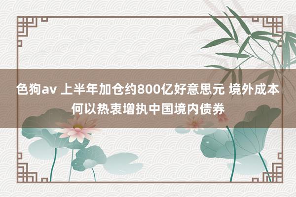 色狗av 上半年加仓约800亿好意思元 境外成本何以热衷增执中国境内债券