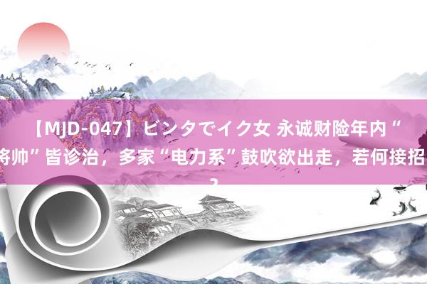 【MJD-047】ビンタでイク女 永诚财险年内“将帅”皆诊治，多家“电力系”鼓吹欲出走，若何接招？