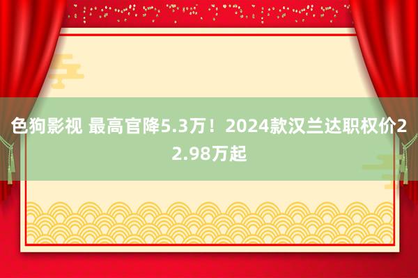 色狗影视 最高官降5.3万！2024款汉兰达职权价22.98万起