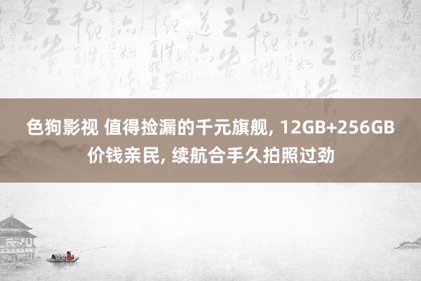 色狗影视 值得捡漏的千元旗舰, 12GB+256GB价钱亲民, 续航合手久拍照过劲