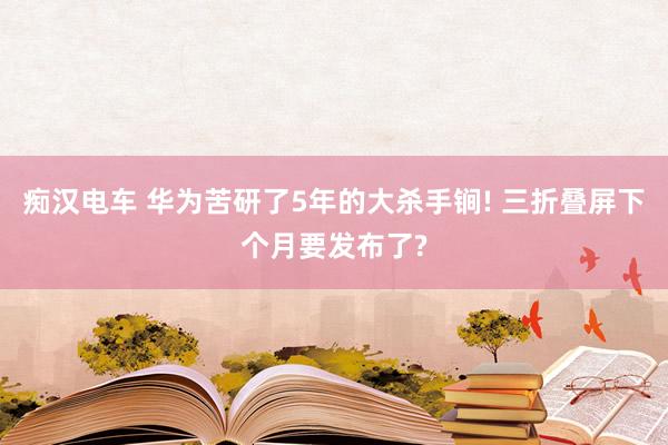 痴汉电车 华为苦研了5年的大杀手锏! 三折叠屏下个月要发布了?