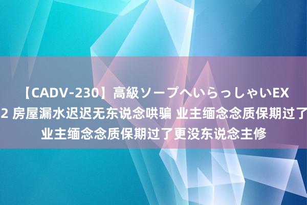 【CADV-230】高級ソープへいらっしゃいEX 巨乳限定4時間 2 房屋漏水迟迟无东说念哄骗 业主缅念念质保期过了更没东说念主修