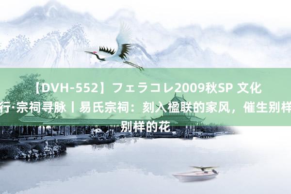 【DVH-552】フェラコレ2009秋SP 文化中国行·宗祠寻脉丨易氏宗祠：刻入楹联的家风，催生别样的花