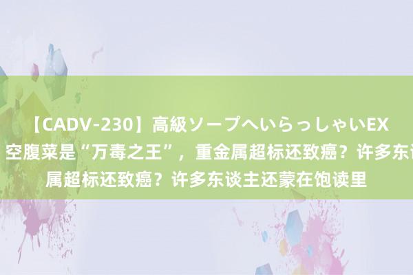 【CADV-230】高級ソープへいらっしゃいEX 巨乳限定4時間 2 空腹菜是“万毒之王”，重金属超标还致癌？许多东谈主还蒙在饱读里