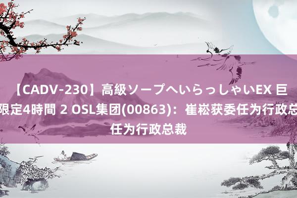 【CADV-230】高級ソープへいらっしゃいEX 巨乳限定4時間 2 OSL集团(00863)：崔崧获委任为行政总裁