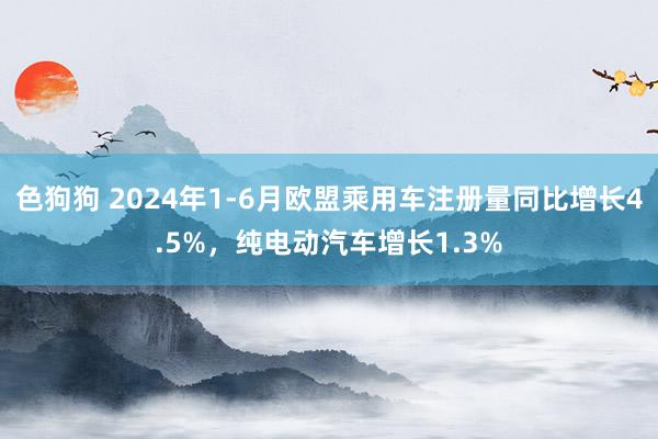 色狗狗 2024年1-6月欧盟乘用车注册量同比增长4.5%，纯电动汽车增长1.3%