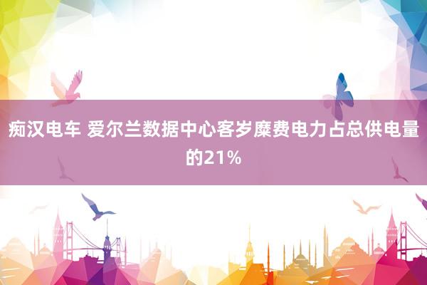 痴汉电车 爱尔兰数据中心客岁糜费电力占总供电量的21%