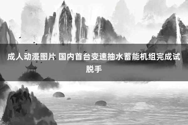 成人动漫图片 国内首台变速抽水蓄能机组完成试脱手