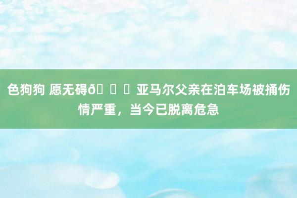 色狗狗 愿无碍?亚马尔父亲在泊车场被捅伤情严重，当今已脱离危急