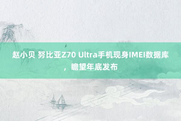 赵小贝 努比亚Z70 Ultra手机现身IMEI数据库，瞻望年底发布