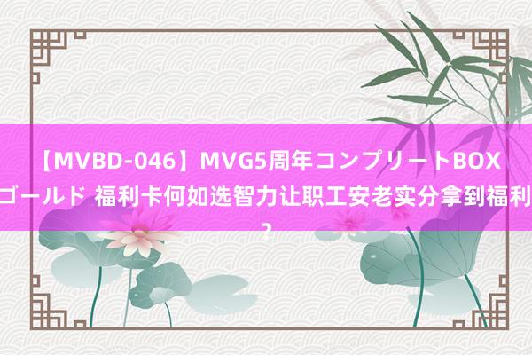 【MVBD-046】MVG5周年コンプリートBOX ゴールド 福利卡何如选智力让职工安老实分拿到福利？