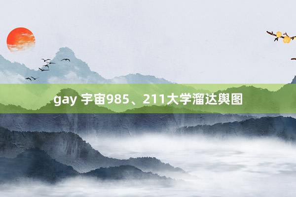 gay 宇宙985、211大学溜达舆图