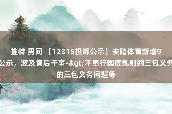 推特 男同 【12315投诉公示】安踏体育新增9件投诉公示，波及售后干事->不奉行国度规则的三包义务问题等