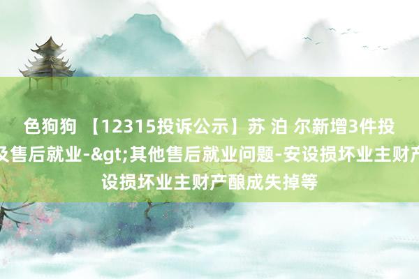 色狗狗 【12315投诉公示】苏 泊 尔新增3件投诉公示，波及售后就业->其他售后就业问题-安设损坏业主财产酿成失掉等