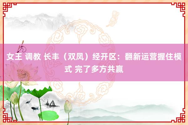 女王 调教 长丰（双凤）经开区：翻新运营握住模式 完了多方共赢