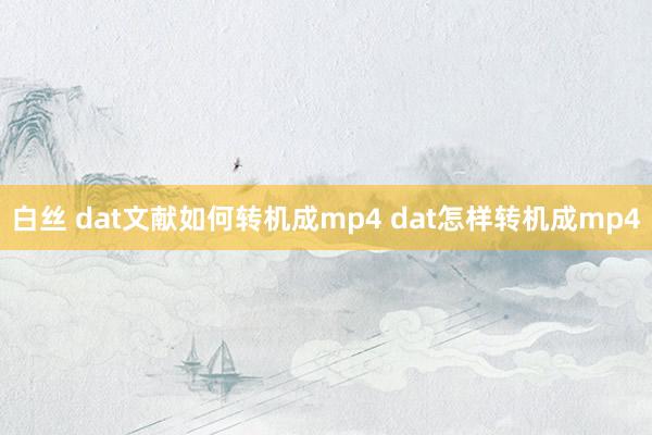 白丝 dat文献如何转机成mp4 dat怎样转机成mp4